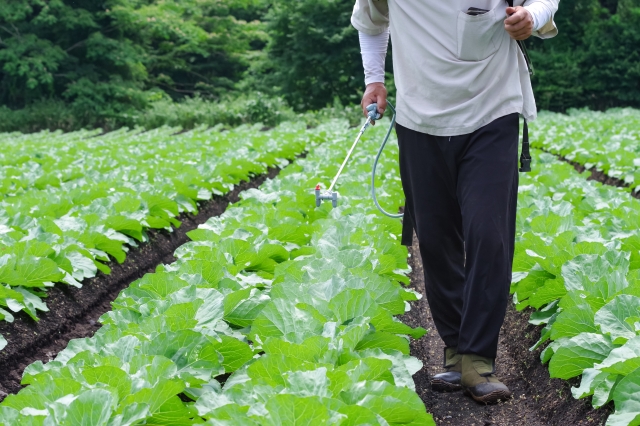 外国産が農薬量が多いとは限らない 